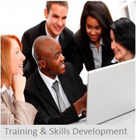 Training & Skills Development